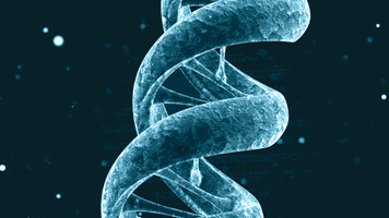group background